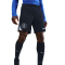NIKE FC Chelsea London Strike Dri-FIT Ausweichshorts Herren