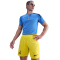 NIKE Tottenham Hotspur Stadium Dri-FIT Ausweichshorts Herren