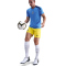 NIKE Tottenham Hotspur Stadium Dri-FIT Ausweichshorts Herren