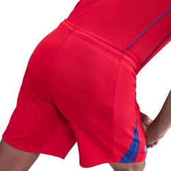 NIKE Paris Saint-Germain Stadium Dri-FIT Ausweichshorts Herren