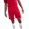 NIKE Paris Saint-Germain Stadium Dri-FIT Ausweichshorts Herren