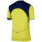 NIKE Tottenham Hotspur Match Dri-FIT ADV Authentic Ausweichtrikot Herren