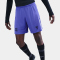 NIKE FC Barcelona Stadium Dri-FIT Auswärts Torwartshorts Herren 510 - persian violet/light thistle/black M