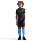 NIKE Tottenham Hotspur Dri-FIT Academy Pro kurzarm Heim Aufwärmshirt Kinder 010 - black/medium ash/lt iron ore S (128-137 cm)