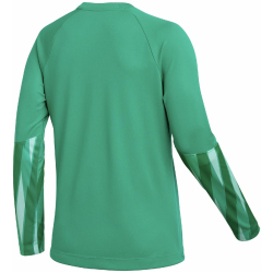 NIKE Park V Dri-FIT Torwarttrikot Damen 324 - stadium...