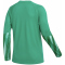 NIKE Park V Dri-FIT Torwarttrikot Damen 324 - stadium green/white XS