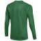NIKE Park VIII Dri-FIT langarm Trikot Herren 302 - pine green/white S