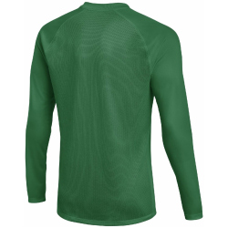 NIKE Park VIII Dri-FIT langarm Trikot Herren 302 - pine green/white M