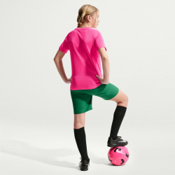 NIKE Park VIII Dri-FIT Trikot Kinder 616 - vivid pink/black L (147-158 cm)