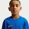 NIKE Park VIII Dri-FIT Trikot Kinder 463 - royal blue/white L (147-158 cm)