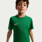 NIKE Park VIII Dri-FIT Trikot Kinder 302 - pine green/white XS (122-128 cm)