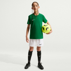 NIKE Park VIII Dri-FIT Trikot Kinder 302 - pine green/white L (147-158 cm)