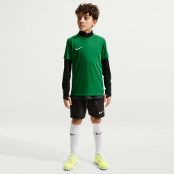 NIKE Park VIII Dri-FIT Trikot Kinder 302 - pine green/white L (147-158 cm)