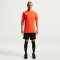 NIKE Park VIII Dri-FIT Trikot Herren 819 - safety orange/black XL