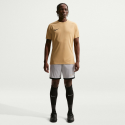 NIKE Park VIII Dri-FIT Trikot Herren 729 - jersey gold/black L