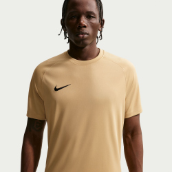 NIKE Park VIII Dri-FIT Trikot Herren 729 - jersey gold/black L