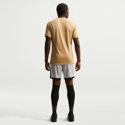 NIKE Park VIII Dri-FIT Trikot Herren 729 - jersey gold/black L