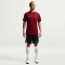 NIKE Park VIII Dri-FIT Trikot Herren 677 - team red/white XS