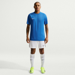 NIKE Park VIII Dri-FIT Trikot Herren 463 - royal blue/white S