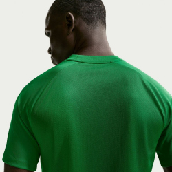NIKE Park VIII Dri-FIT Trikot Herren 302 - pine green/white XS