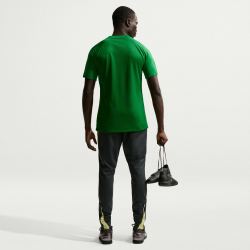NIKE Park VIII Dri-FIT Trikot Herren 302 - pine green/white XS