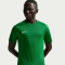 NIKE Park VIII Dri-FIT Trikot Herren 302 - pine green/white S