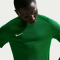 NIKE Park VIII Dri-FIT Trikot Herren 302 - pine green/white S