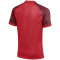 NIKE Trophy VI Dri-FIT Trikot Herren 657 - university red/team red/white XL