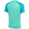 NIKE Trophy VI Dri-FIT Trikot Herren 354 - hyper turq/chlorine blue/black M