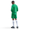 NIKE FC Barcelona Stadium Dri-FIT Torwartshorts 2025/26 Herren 310 - lucky green/green strike/black L