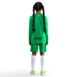 NIKE FC Barcelona Stadium Dri-FIT Torwartshorts 2025/26...