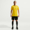 NIKE Park 26 Dri-FIT kurzarm Fußball Trainingsshirt Herren 719 - tour yellow/black/black XL