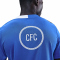 NIKE FC Chelsea London Strike Dri-FIT Ausweich kurzarm Trainingsshirt Herren 481 - game royal/game royal/field silver S