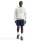 NIKE Paris Saint-Germain Dri-FIT Hoodie Herren 141 - oatmeal heather/htr/midnight navy M