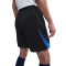 NIKE Paris Saint-Germain Strike Dri-FIT Ausweichshorts Herren 010 - black/hyper royal/global red S
