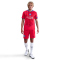 NIKE Paris Saint-Germain Stadium Dri-FIT Ausweichshorts Herren 679 - global red/hyper royal L