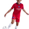 NIKE Paris Saint-Germain Stadium Dri-FIT Ausweichshorts Herren 679 - global red/hyper royal L