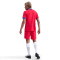 NIKE Paris Saint-Germain Stadium Dri-FIT Ausweichshorts Herren 679 - global red/hyper royal L
