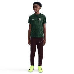 NIKE FC Chelsea London Dri-FIT Academy Pro kurzarm Aufwärmshirt Kinder 320 - galactic jade/outdoor green/phantom L (147-158 cm)