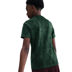 NIKE FC Chelsea London Dri-FIT Academy Pro kurzarm Aufwärmshirt Kinder 320 - galactic jade/outdoor green/phantom L (147-158 cm)