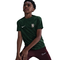 NIKE FC Chelsea London Dri-FIT Academy Pro kurzarm Aufwärmshirt Kinder 320 - galactic jade/outdoor green/phantom L (147-158 cm)