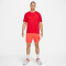 NIKE Stride Dri-FIT 7" Brief-Lined Laufshorts Herren 635 - bright crimson/black/reflective silv S