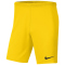 NIKE Park III Dri-FIT Knit Fußball Shorts Herren 718 - lightening/black S