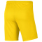 NIKE Park III Dri-FIT Knit Fußball Shorts Herren 718 - lightening/black L
