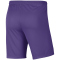 NIKE Park III Dri-FIT Knit Fußball Shorts Herren 507 - wild grape/white L