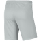 NIKE Park III Dri-FIT Knit Fußball Shorts Herren 097 - grey fog/black M