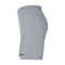 NIKE Park III Dri-FIT Knit Fußball Shorts Herren 012 - wolf grey/black L
