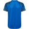 hummel hmlBLAZE Pro Trainingstrikot Kinder