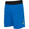 hummel hmlBLAZE Pro Trainingsshorts