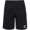 hummel hmlCORE 2.0 Trainingsshorts Herren